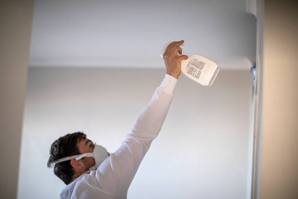 Best Black Mold Removal  in Auburn, NY