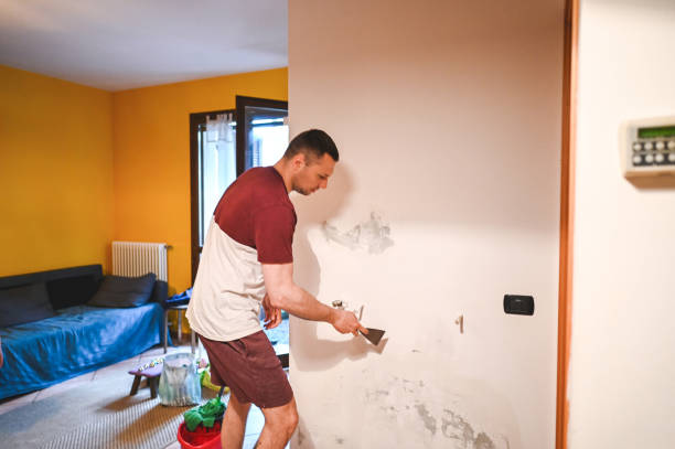 Best Best Mold Removal Companies  in Auburn, NY